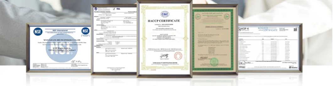 Natural Birch Bark Extract Betulin