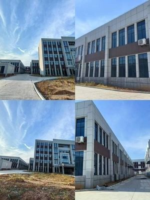 Braised Beef Flavor Food Flavoring with 0.05%-0.15% Suggested Addition Amount No Added Sugar and China Origin